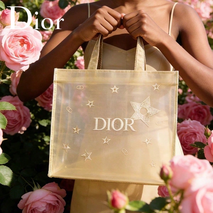 Christian Dior Dior’s bag Luxu - đánh giá và giá Beauty Makeup Dior