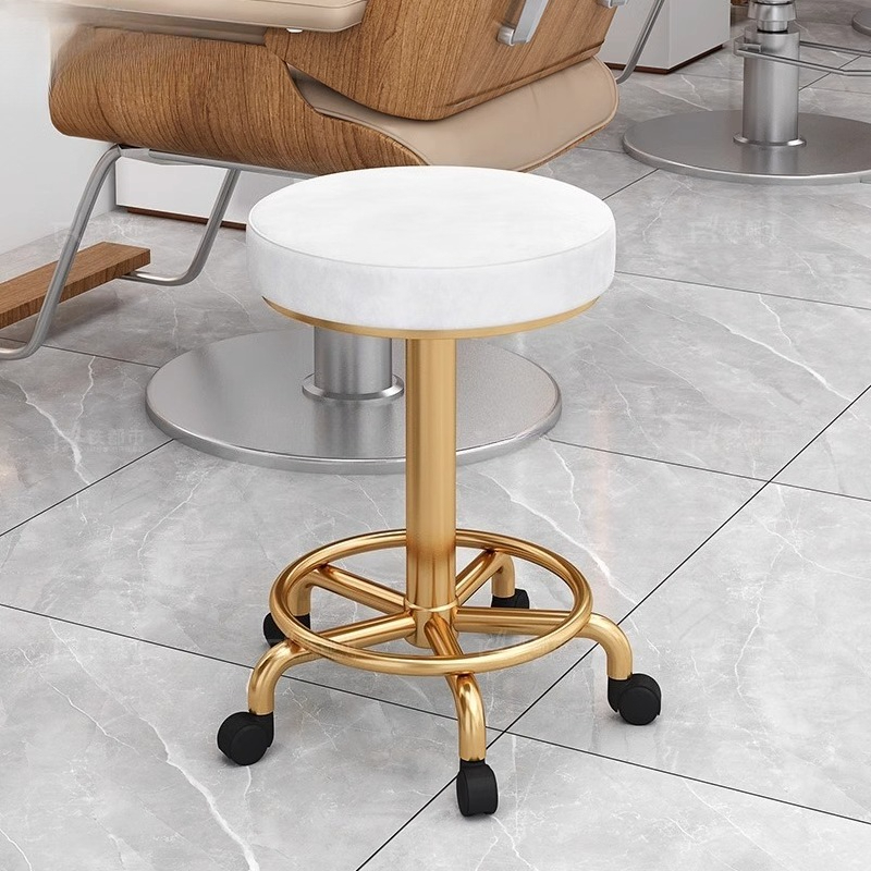 Modern Simple Beauty Stool Pro - đánh giá và giá Beauty Makeup Chair