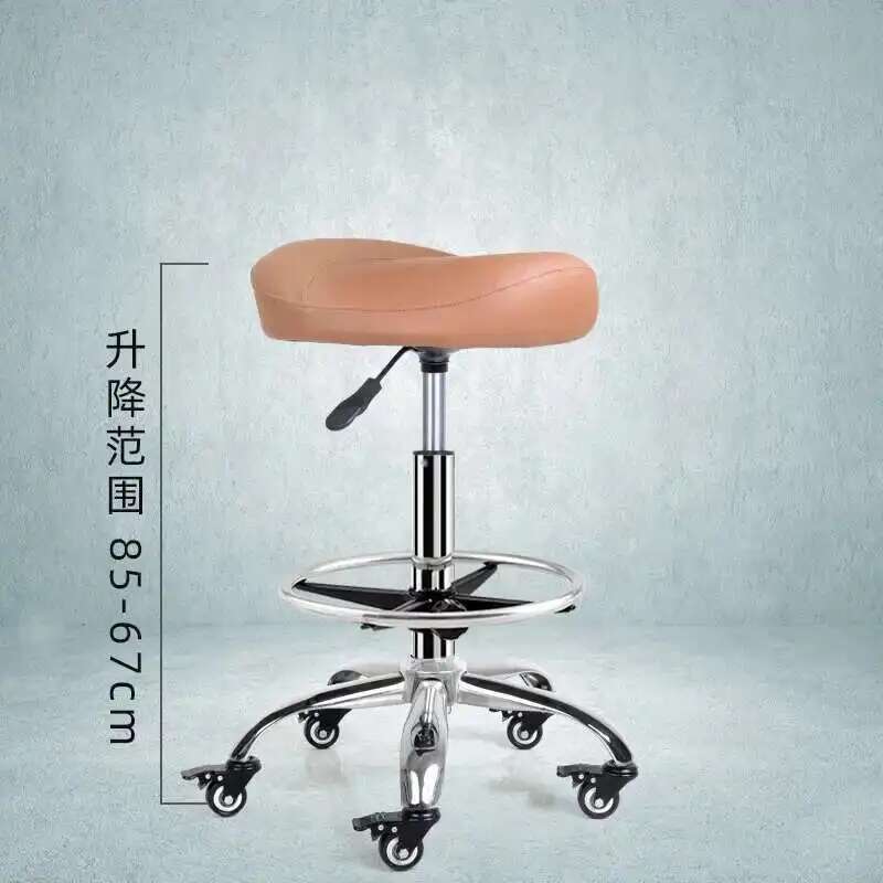 Backrest Lift Swivel Chair Pul - đánh giá và giá Beauty Makeup Chair