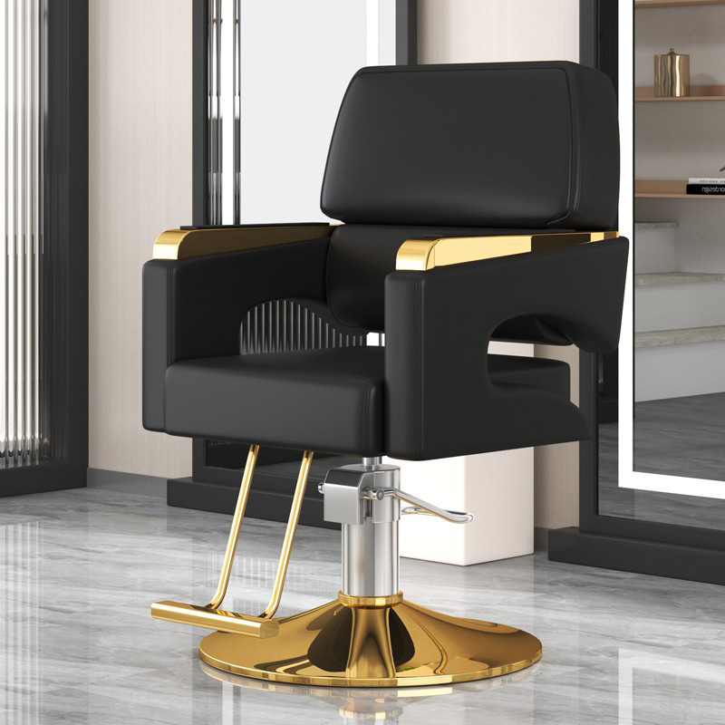 Modern Adjustable Swivel Haird - đánh giá và giá Beauty Makeup Chair
